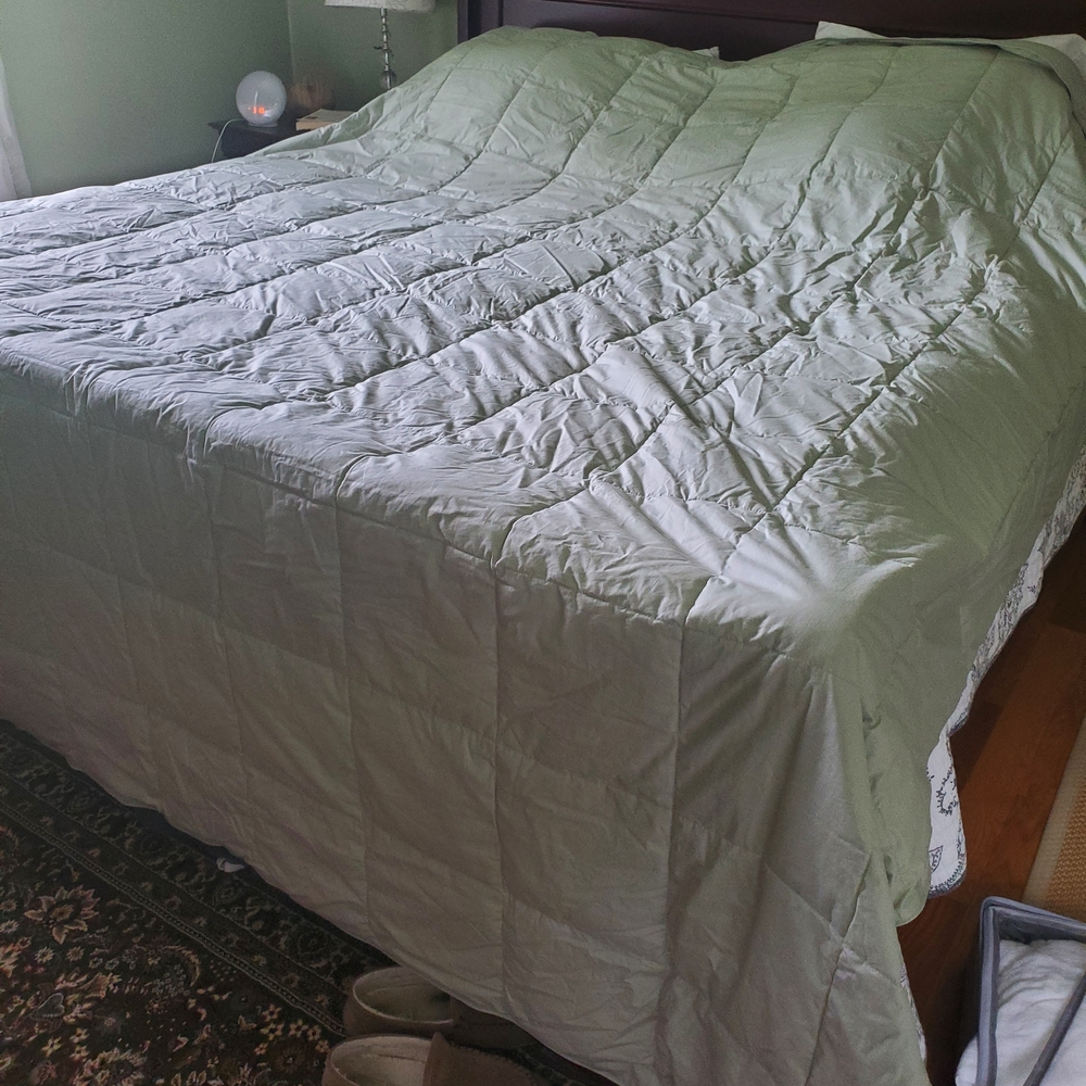 Garnet Hill Green Comforter Luxurious Bedding